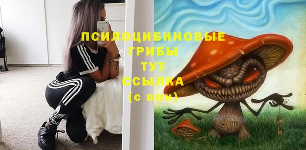 стафф Вязники